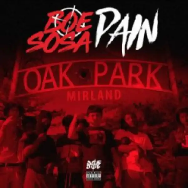 BOE Sosa - Pain